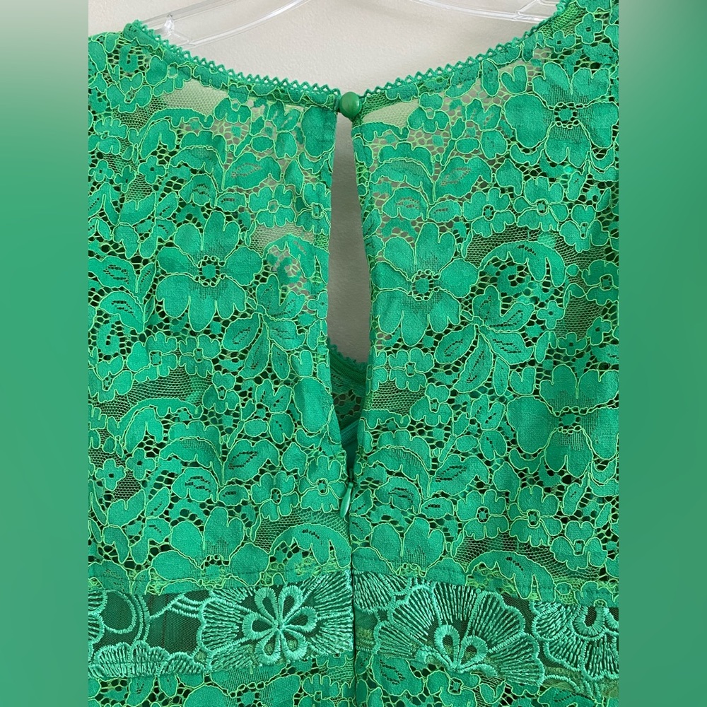 Plenty by Tracey Reese for Anthropologie Angelica Lace Midi dress - Picture 8 of 12